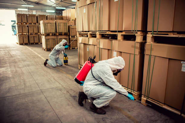 Best Wildlife Control Services  in Macom, IL