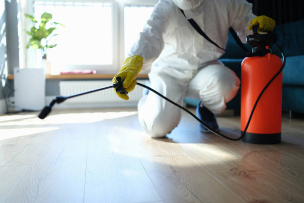 Best Pest Prevention Services  in Macom, IL
