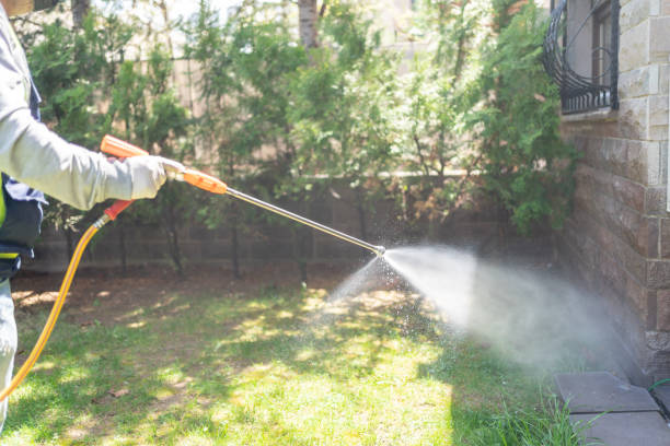 Best Cockroach Control Services  in Macom, IL