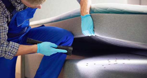 Best Bed Bug Extermination  in Macom, IL