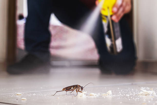  Macom, IL Pest Control Pros
