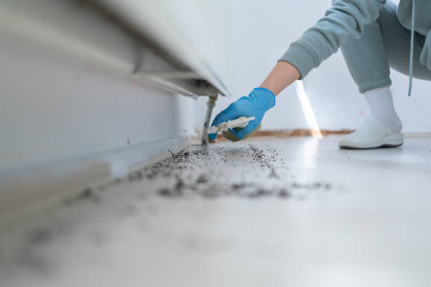 Best Insect Control  in Macom, IL
